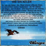 WIE EIN ADLER