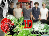 SANDRITA1D