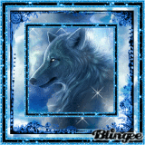 Wolf blue