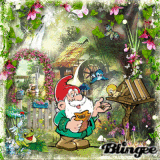 Nain De Jardin