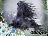 Black horse fantasy
