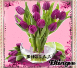 MIRELA A