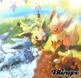 Les 4 saisons