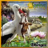 ♥ Spring ♥