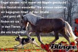 Tierfreunde