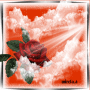 MIRELA A