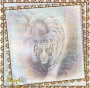 Tiger c