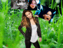 hunger games addict