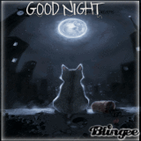 good night