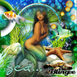Sea Life