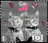 So Cute Kitties