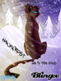 Hawkfrost is Ice Cold