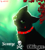 Warrio cats Scourge