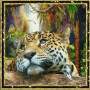 portrait d'animaux..................