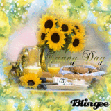 Sunny Day for you