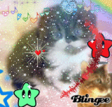 CatsLovers CatsLovers