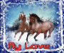 Winter Romance