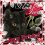 HAPPY BIRTHDAY NYTIJA3440 