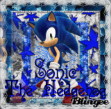 -:Sonic The Hedgehog:-