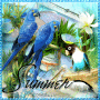 Summer Birds