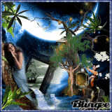 Moonlight fantasy