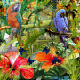 Oiseaux tropical Oiseaux tropical