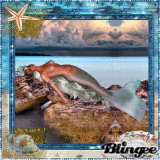 MERMAID DREAMS