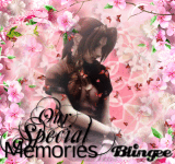 Aerith Gainsborough Special Memories