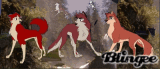 hijos de balto y jenna