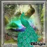 Pfau Natur und grün