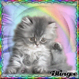 [*ᏆᎾᏢ#18=Pets*]<Ᏸẙ уνσиαℓℓ> 