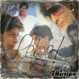 Lebe und denke nicht an Morgen- Kal Ho Naa Ho