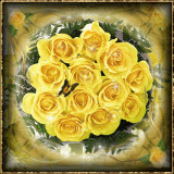 Yellow roses