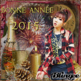 Bonne Année 2015
