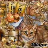 Defis-Winter-Gold-Cat