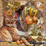 Defis-Winter-Gold-Cat