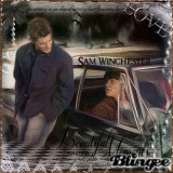 supernatural sam
