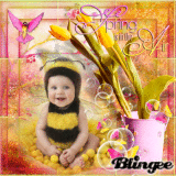 spring bee