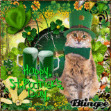 St Patrick Cat