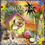 Summer Cat