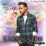 Mostra le classifiche finali