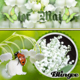 Joyeux 1er Mai mes Amies(is)