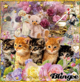 I Love Kittens And Flowers