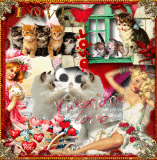 Valentine Cats