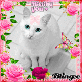 Missing You Sweet Friend