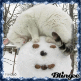 CAT WITH SNOWMAN . . . by Piedad5007