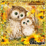 <ву ƴνσηαℓℓ>[☆76=autumn☆]