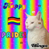 Snowy the cat on Twitter