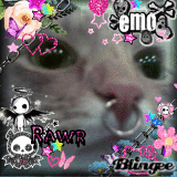 emo cat
