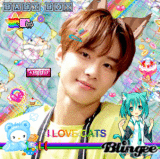 jungwoo cat boy agenda